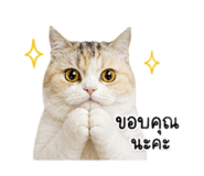 856475768