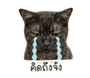 856477346