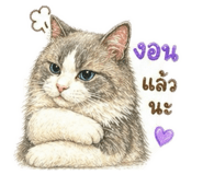 856477748