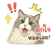 856477749