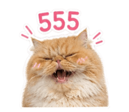 856478965