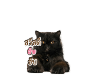 856479137