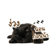 856479143