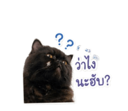856479149