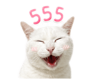 856479738
