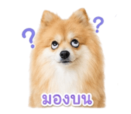 856479853