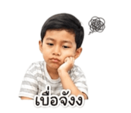 856480227