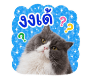 856480271