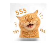 856481299