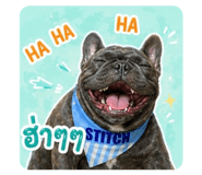 856481660
