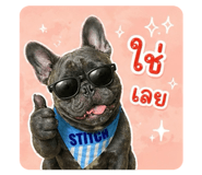 856481672