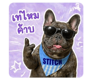 856481680