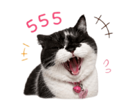 856481819