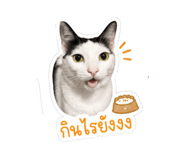 856482035