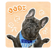 856482642
