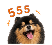 856482819