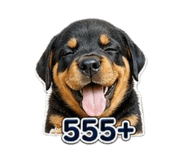 856483541