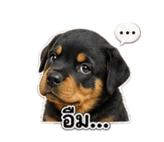 856483542