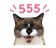 856484073