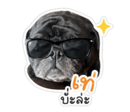 856484200