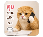 856485743