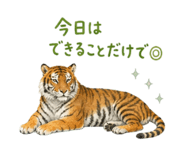 856488029