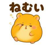 856489376