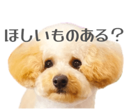 856489399