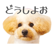 856489414
