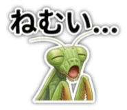 856490335