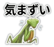 856490340