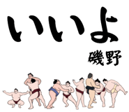 856494096