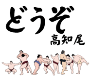856496567