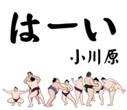 856497479
