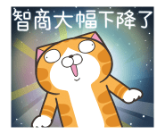 856498662