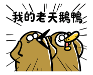 856498684