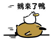 856498694