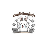 856502243