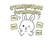 856502248