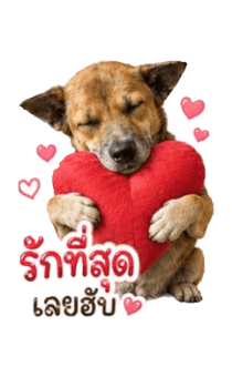856525139