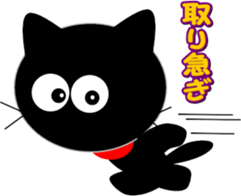 8565384
