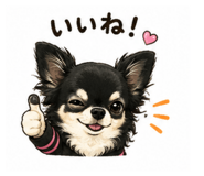856544164