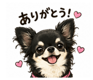 856544168