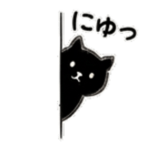 856544251