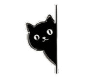 856544264