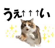856544973