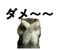 856544987
