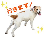 856545365