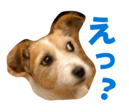 856545370