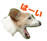 856545385